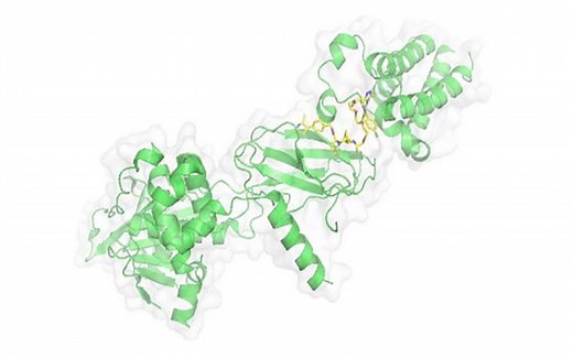 马兴泉博士_PROTAC：解放无成药性靶点的先锋