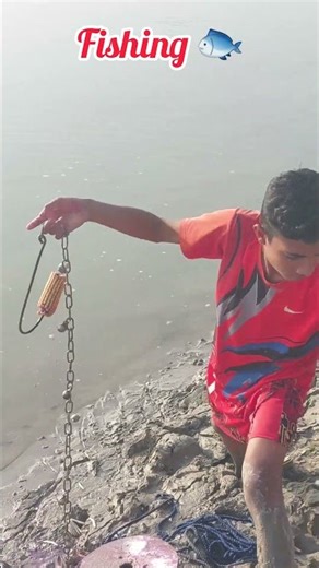 Catch big fish by mixing fish's secret food with corn bait #fishing#shortvideo#fish#fishingvideo🎣🔥.