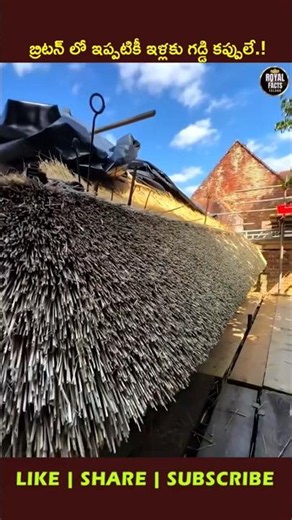 Why Rich Countries Still Use Thatched Roofs! 🏡😱 #youtubeshorts #ytshorts #viral