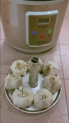Fermenting Black Garlic 12 days - KHIND Intelligent Black Garlic Fermenter