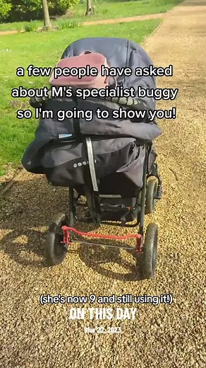 Exploring the Special Tomato EIO for Disabled Children