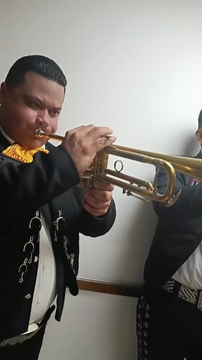Traditional Mexican Music Performance with Brass Instruments