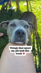 Cali the Pit on Reels