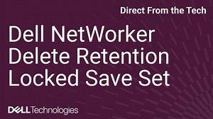 如何在 Dell NetWorker 中刪除保留鎖定的儲存集 | Dell 台灣