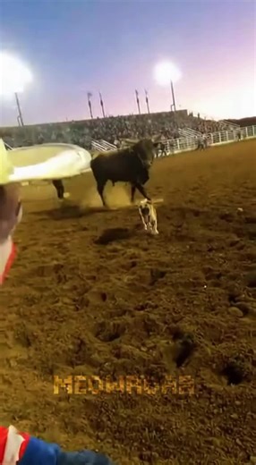 2,000-Pound Bull CHARGING... Dog In Arena... I Had To Save Him