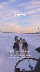 Welcome to ICEHOTEL Sweden — where Arctic luxury meets timeless design. As the world’s original hotel built entirely from ice and snow, each suite is hand-sculpted by artists and reimagined every winter. | ICEHOTEL | Facebook