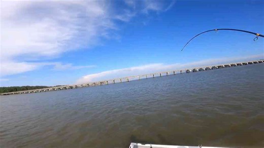 This monster took off and forced us into a full-on boat chase