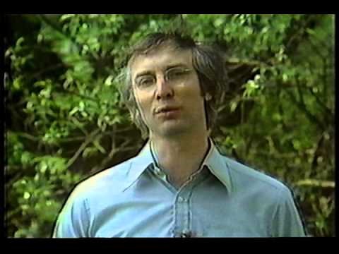 Elements Organised: A Periodic Table