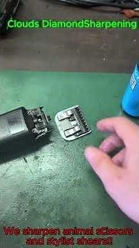 How to Oil Clipper Blades the RIGHT Way (Save Money & Prevent Rust!) 💦 #professionalgrooming