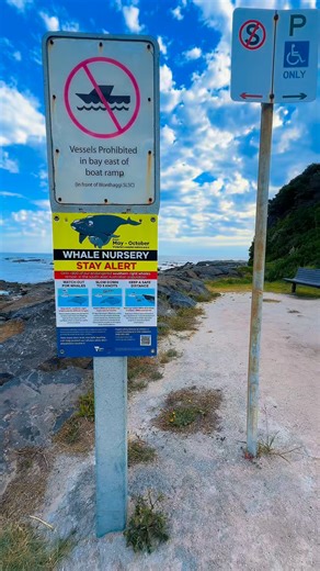 Jonel Bel-ida on Instagram: "Whale Nursery here"