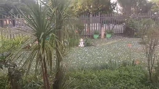 Karien sent us this video of the hailstorm in Lichtenburg in North West yesterday (20 November 2025). Send photos and videos to whatsapp 0812518029 See https://snowreport.co.za for weather forecasts. | Snow Report SA