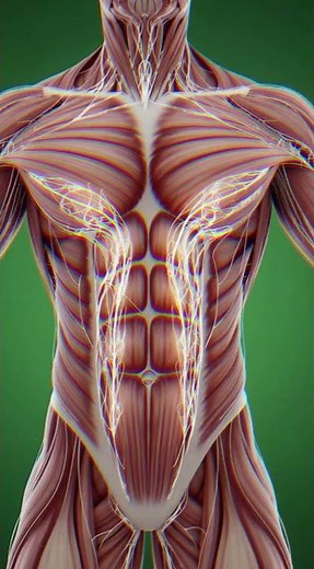 12 Best Benefits Of Eating Cardamom