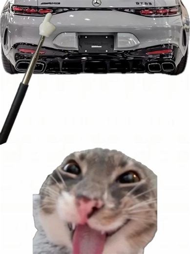 Kitty explains car... #mercedes #cartypes #kittyexplain #kittytalk #foryoupage