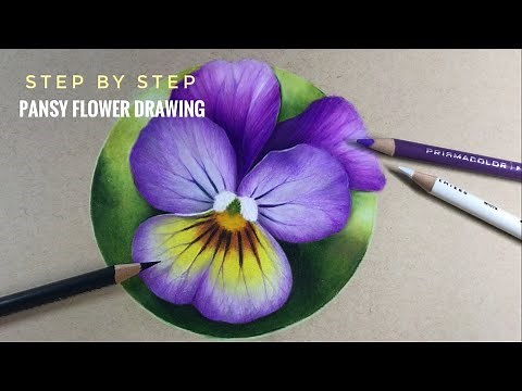 Easy Pansy Flower Drawing | Colored Pencils // Chris Cheng