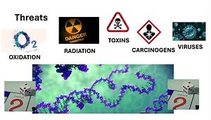 The Reasons We Get Colorectal Cancer and Why It’s So Common