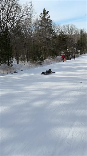 Zoom Zoom! #freebird #snowdays | bird