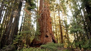 Get outside to improve your health