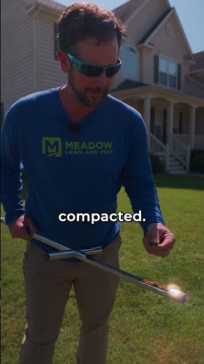 How to Fix Compacted Lawn Soil?