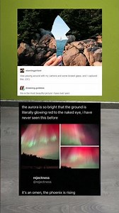 The most beautiful picture I've ever seen