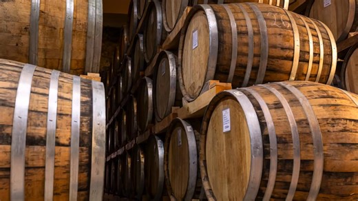 4.2K views · 99 reactions | The trailer of BBC documentary Sunrise in...