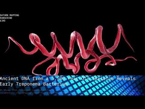 Saturn Mapping Info Presents Ancient DNA from a 5,500 Year Old Skeleton Reveals Early Treponema B...