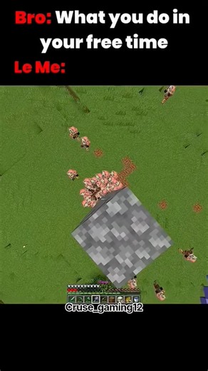 Free time 😏 #minecraft #gaming