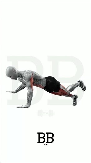 Alternate Lateral Arm Leg Plank (CORE): The Ultimate 3-Point Stability Challenge! 🛡️⚖️