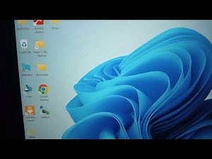 running yolov5 in visual studio code