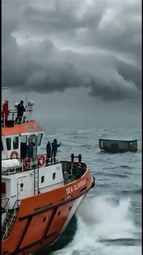 What REALLY Happens to CONTAINERS Lost at Sea? 🌊🚢 (Shocking Truth Revealed!)