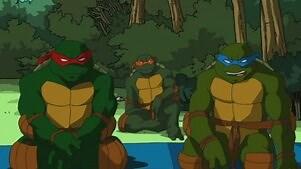 Teenage Mutant Ninja Turtles (2003): Season 2 Episode 9 Reflections