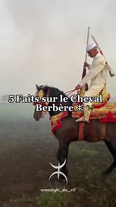 8.3K views · 125 reactions | L'histoire de cheval berbère | Les Kabyles | Facebook