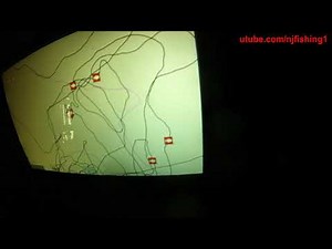 Raymarine Element Fishfinder - how to enable Auto-chart live function?