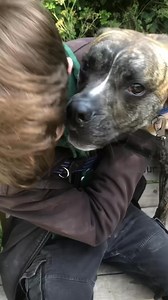 10K views · 323 reactions | Times Like These.. A patchwork quilt of...