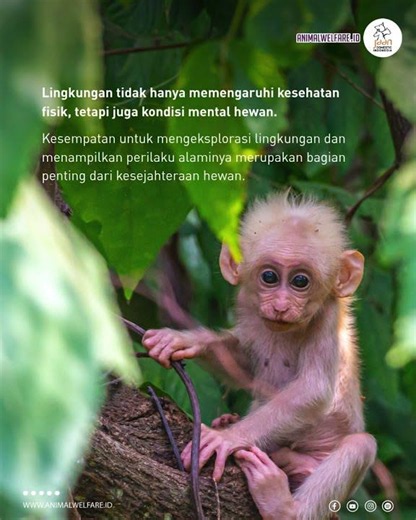World Environment Day 2026