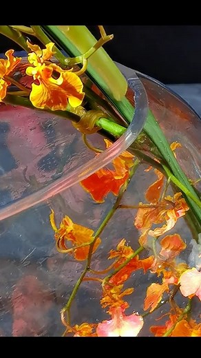 3.6K views · 22 reactions | ✨ #flowerarrangement #art #flowers | Seeds Connectorg | Facebook