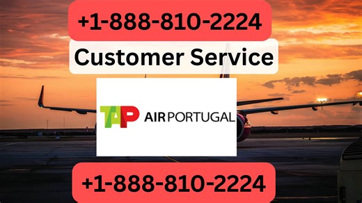 The {Tap Air Portugal™ Official Customer Service }Complete Guide || 24/7 Live Person Full Support Guide