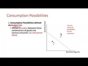 Micro Ch 10 - The Rational Consumer - Part 1