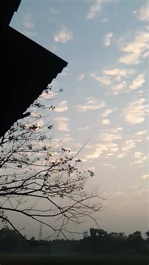 fentastik vew 🖼️