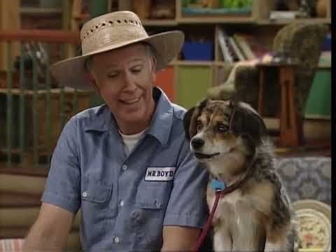 Barney Puppy Love 2002 2013 Treat Size DVD Release