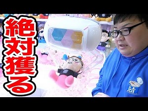 I can't go home until I get Hikakin and Seikin in the crane game! ~The pride of the Kin clan~