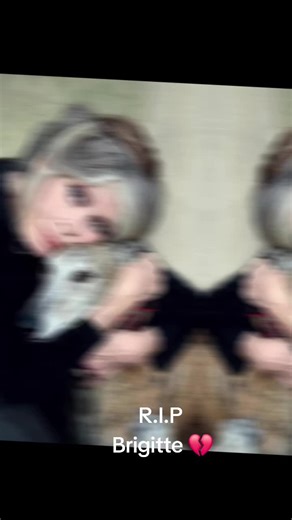 Vidéos de flock flocky (@guy.knittel) avec original sound - DNP