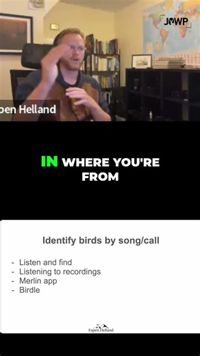 Unlock Bird Songs Merlin App & Birdle Game Secrets!