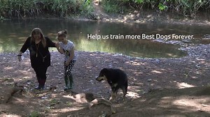 9.7K views · 283 reactions | This week is International Assistance Dog Week, celebrating the incredible difference assistance dogs make for families like Grace's. Learn more about how you can help our charity partner Dogs for Good - UK transform even more lives here: dogsforgood.org/get-involved/ | Pets UK | Facebook