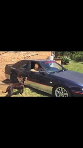 669K views · 6.3K reactions | Backyard skids send in your skids #wldasmafia #putitintop #blacklinesmatter #burnout #powerskid #viralreelsシ #viralvideoシ #neighbourhood #drag #race #badboy #dragracing #sendit #checkitout #Holden #SS #chevy #Chevrolet #ford #dodge #Toyota #Nissan #australia #party #v8 | WLDAS MAFIA | Facebook