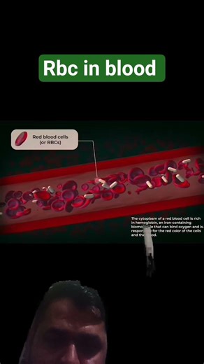 rbc in blood #ytshorts #hospital #yt #ytshort #ytshortsindia #ytshorts
