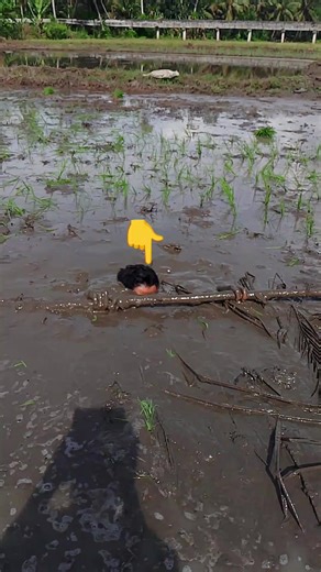 The Deepest Rice Field in Banaybanay, Davao Oriental