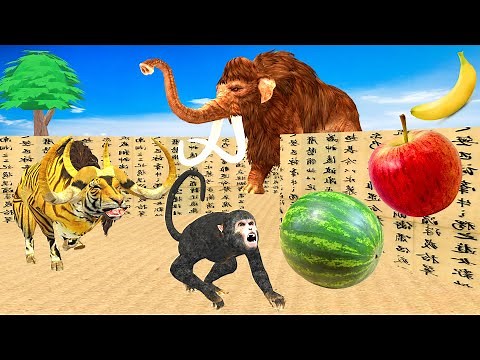 Zombie Tiger Bull Chase Funny Monkey Escape from Watermelon Maze Game | Woolly Mammoth Saves Monkey