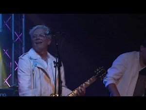 Birds Fly (Whisper To A Scream) - The Icicle Works Cover - Nite Wave