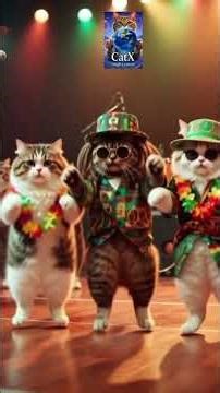 DancingCatX. Cat Astral Engine Music. Reggae Cat – Dancing Cats 