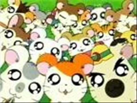 Hamtaro Theme Song